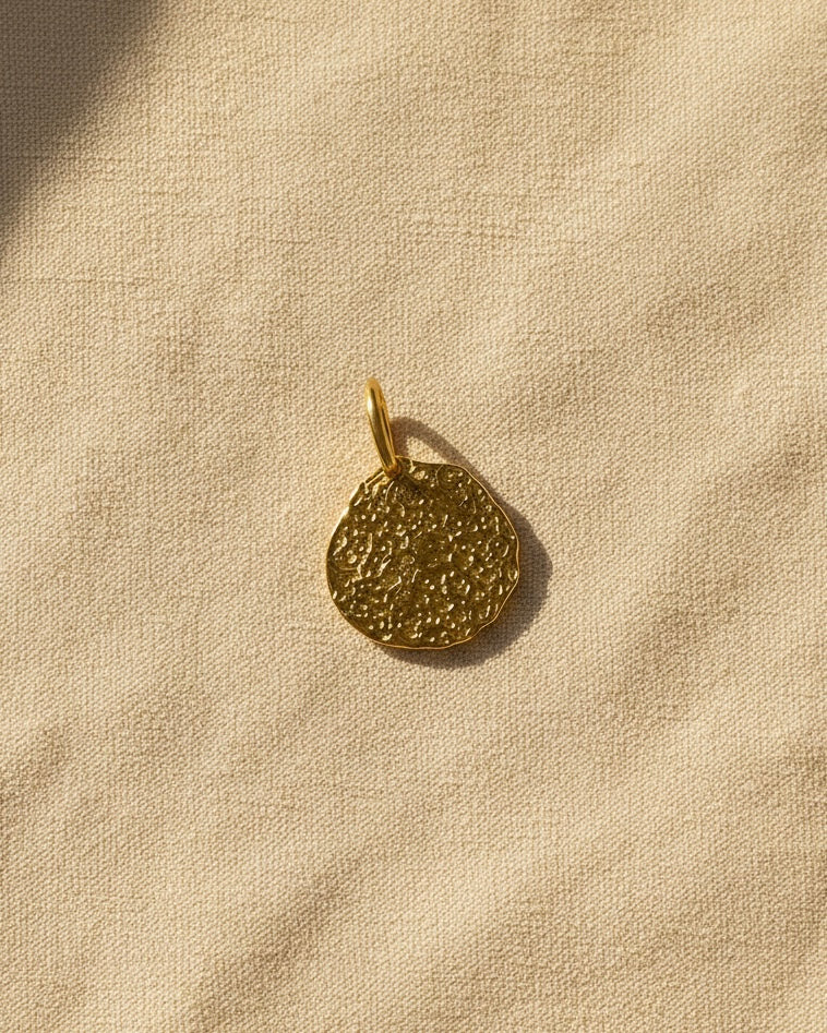 le charm gold coin