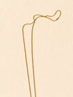 le groupito tigre