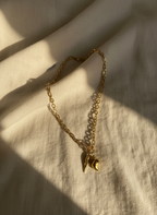 le charm caracola