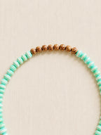 le poisson short mint