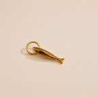 le charm poisson